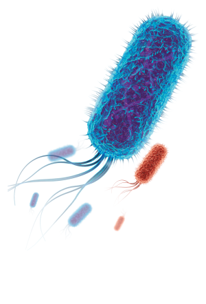 bacteria-resistente bacteria-resistente