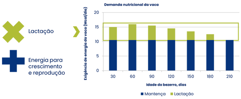 demanda-nutricional demanda-nutricional