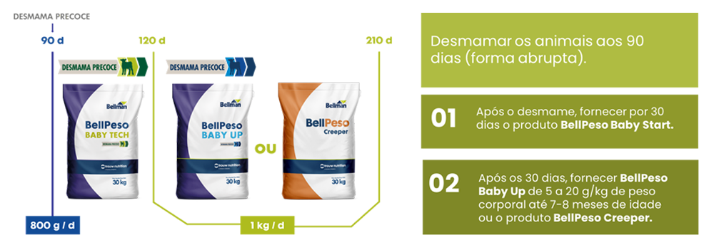 Protocolo Alternativo – Sem Creep Feeding Protocolo Alternativo – Sem Creep Feeding