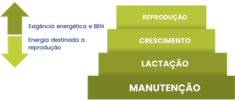 demanda-nutricional