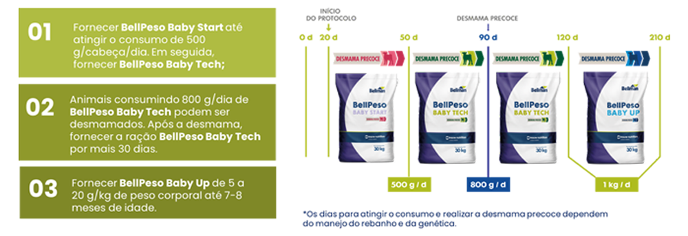 protocolo-desmama-precore-racional protocolo-desmama-precore-racional