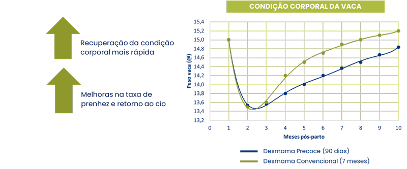 melhor indice