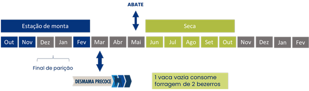 vacas-de-descarte