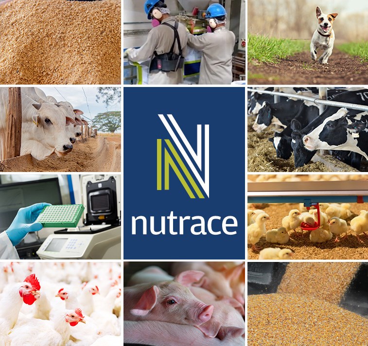 banner-nutrace