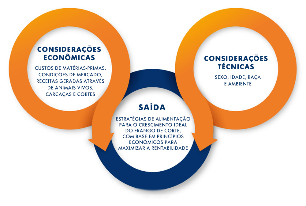 • Projeta e analisa broiler-frango