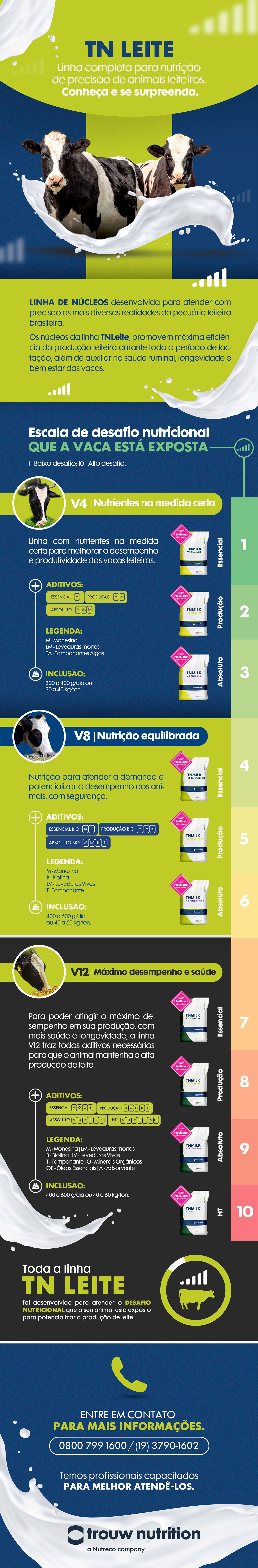 tn-leite-v4-v8-v12