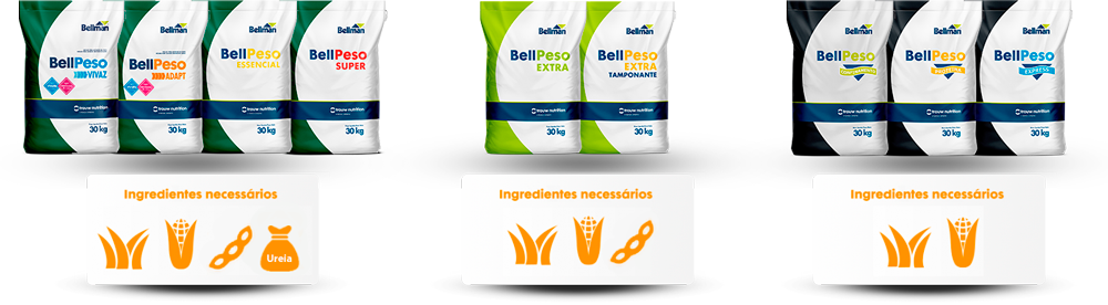 confinamento confinamento