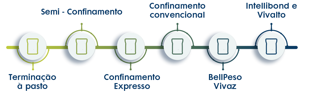 confinamento