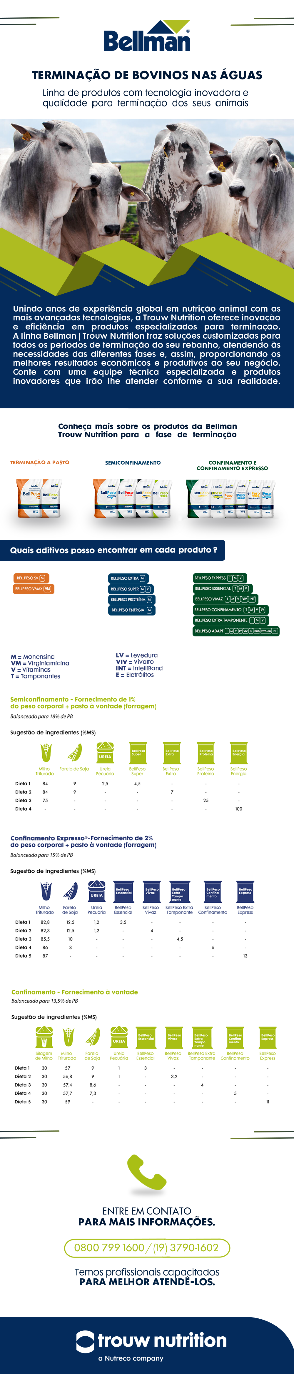 Terminação de bovinos