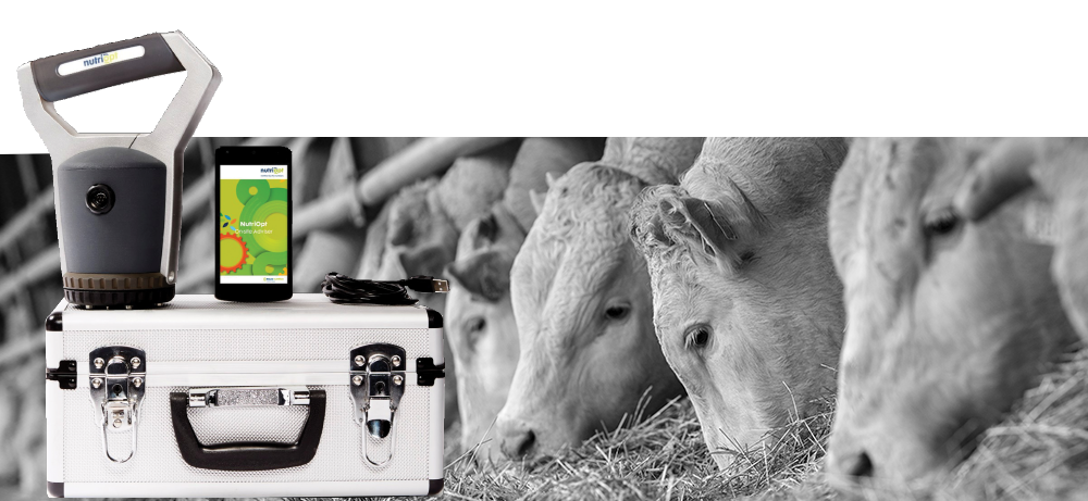 banner-nutriopt-noa banner-nutriopt-noa