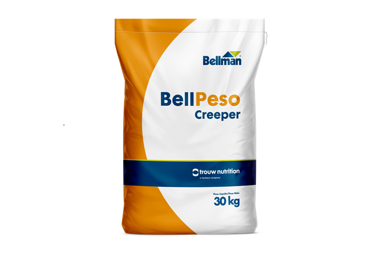 Bellpeso Creeper