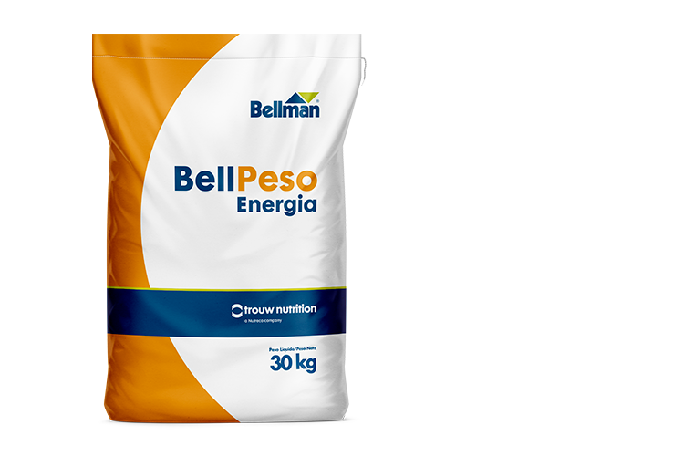 Bellpeso Energia