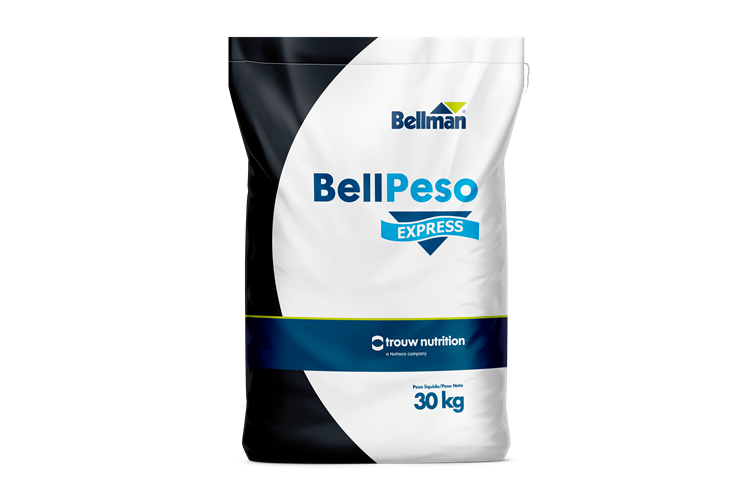 BellPeso Express