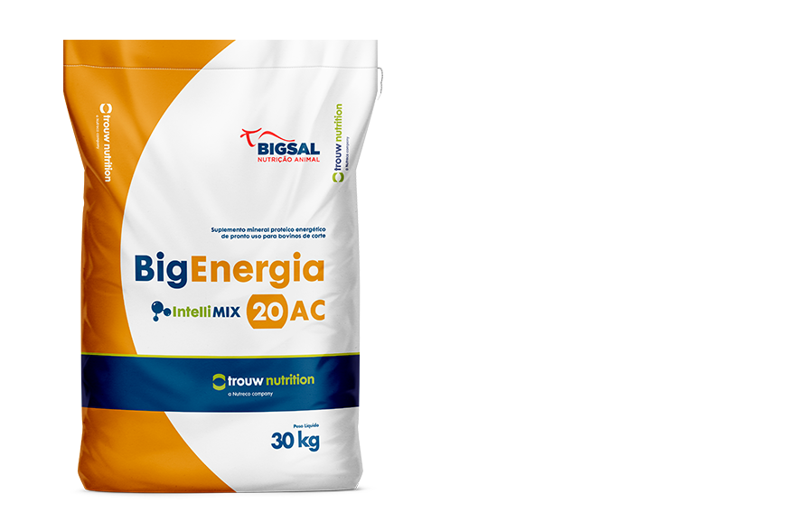 Big Energia 20 AC