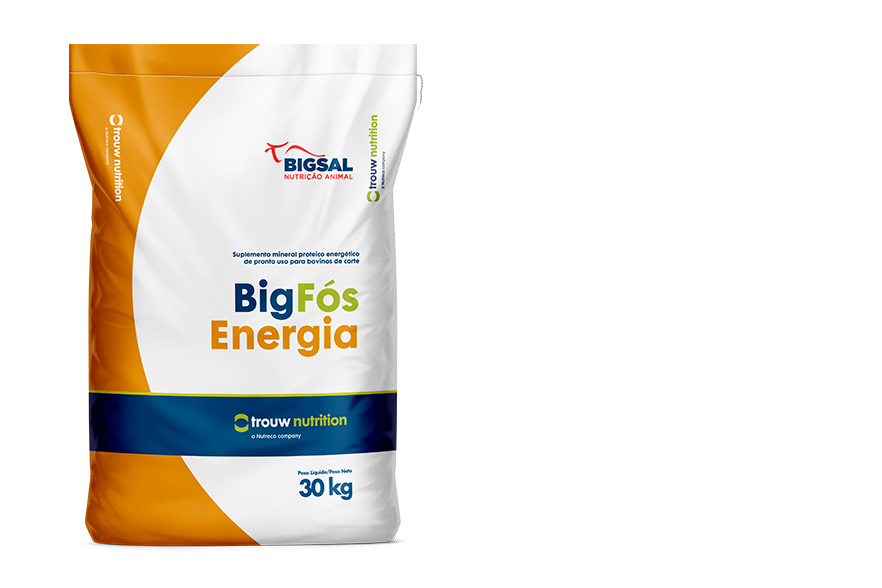 Big Fós Energia