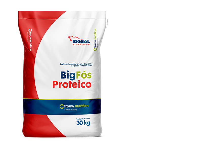 Big Fós Proteico