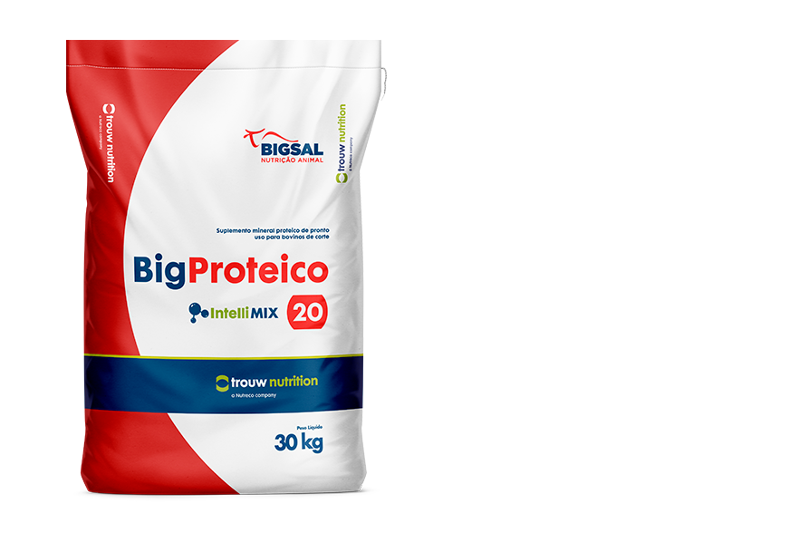 Big Proteico 20