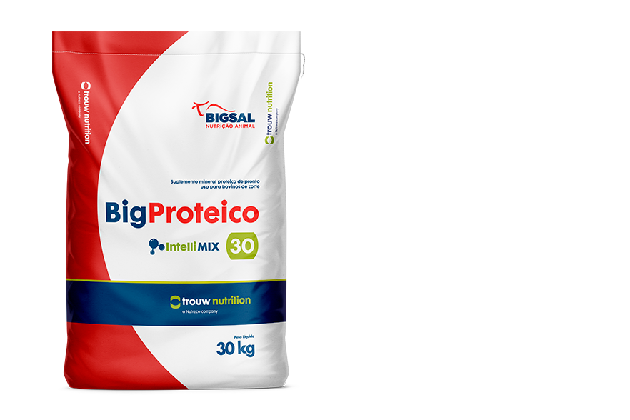 Big Proteico 30