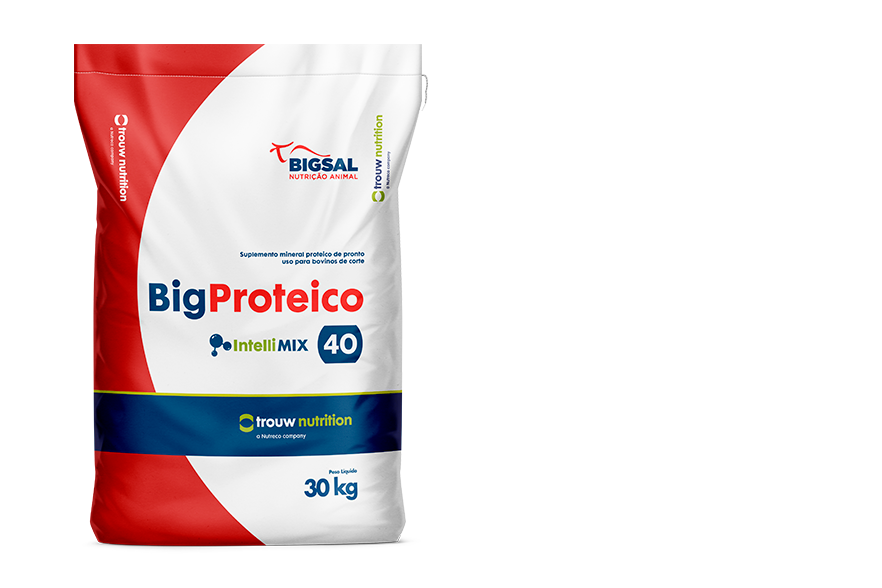 Big Proteico 40