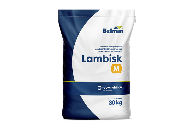 Lambisk M