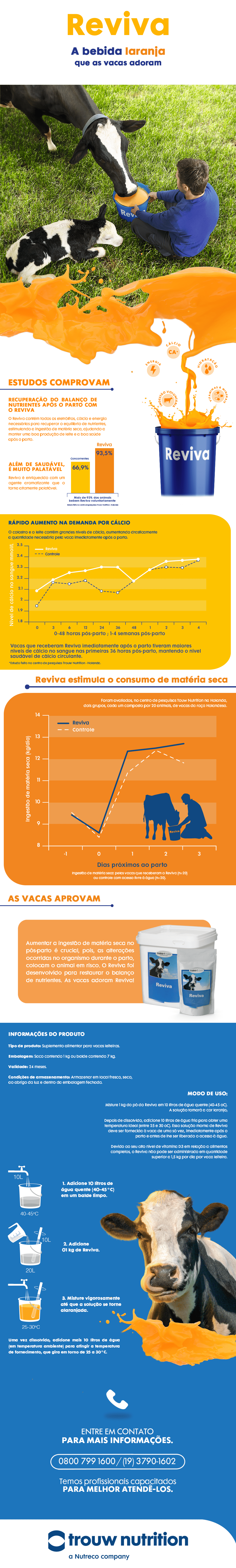 Diferenciais Bellman