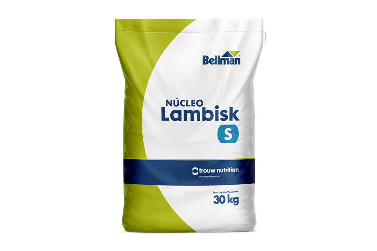 Núcleo Lambisk S