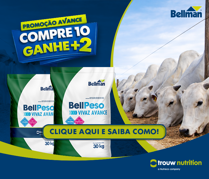 Promo&ccedil;&atilde;o BellPeso Avance