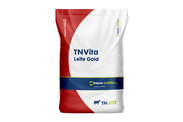 TNvita Leite Gold